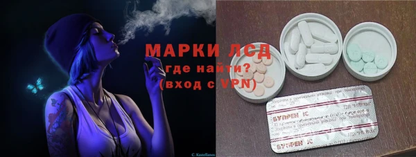 гашик Елизово