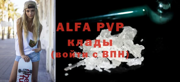 гашик Елизово