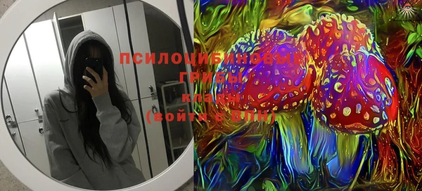 гашик Елизово