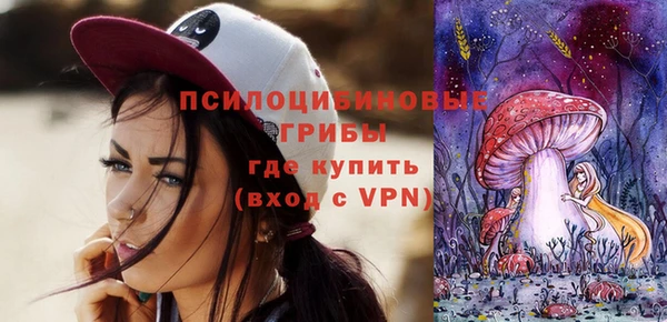 гашик Елизово