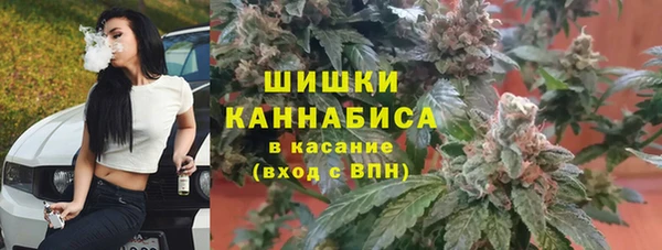 гашик Елизово