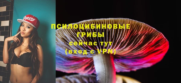 гашик Елизово