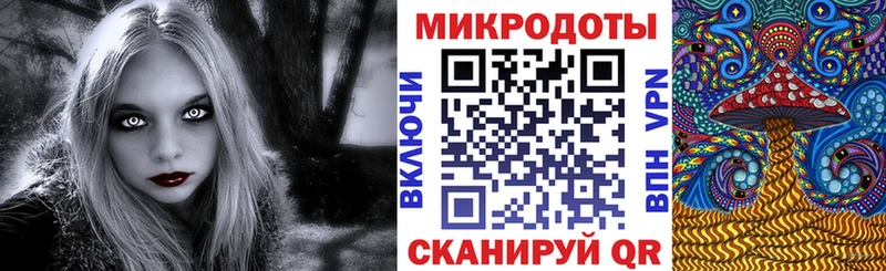 Купить где  Канаш  Галлюциногенные грибы GOLDEN TEACHER 